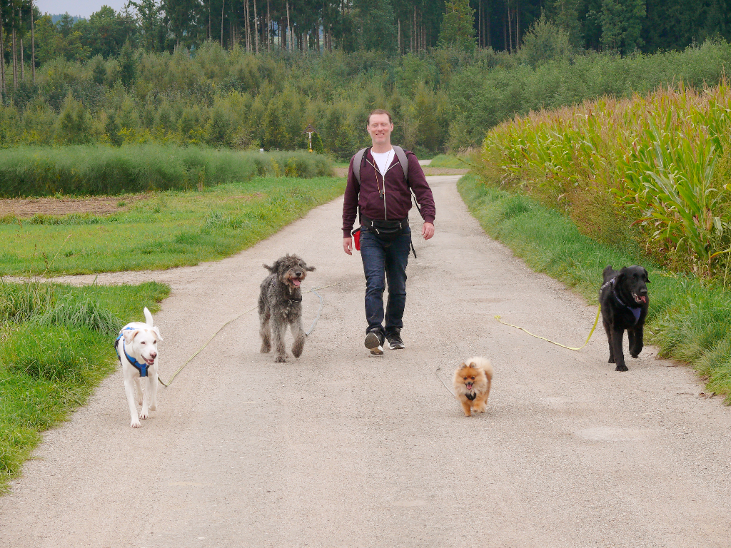 Hundebetreuung und Hundetraining für Fürstenfeldb…